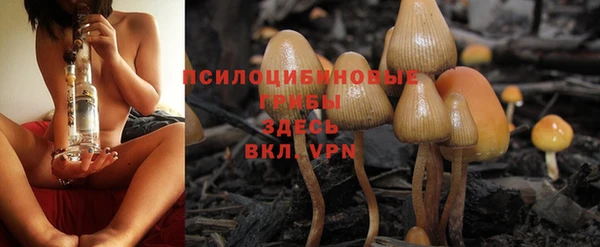 гашишное масло Белокуриха