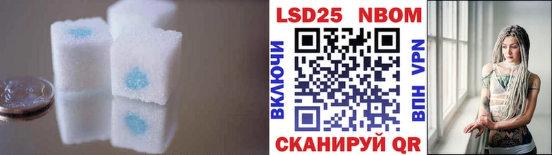 маркетплейс клад  Светогорск  Лсд 25 экстази ecstasy 