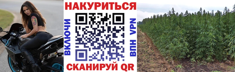 Бошки марихуана THC 21%  Светогорск 